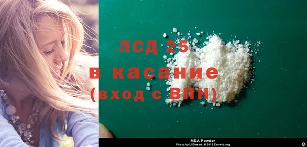 прущие грибы Алзамай