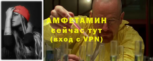 СК Алексин