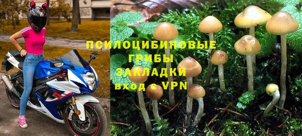 прущие грибы Алзамай