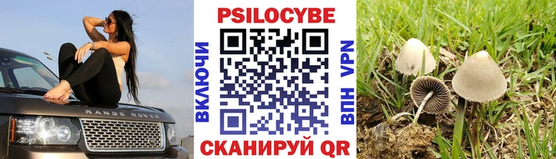 Псилоцибиновые грибы мицелий  закладки  Пролетарск 
